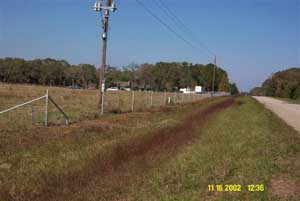 Horse Farm